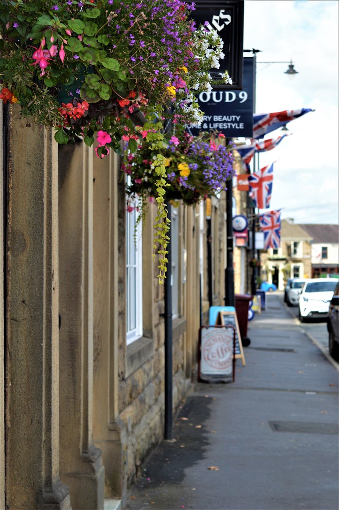 DSC_0306 (2) Sharon Dilworth Flickr