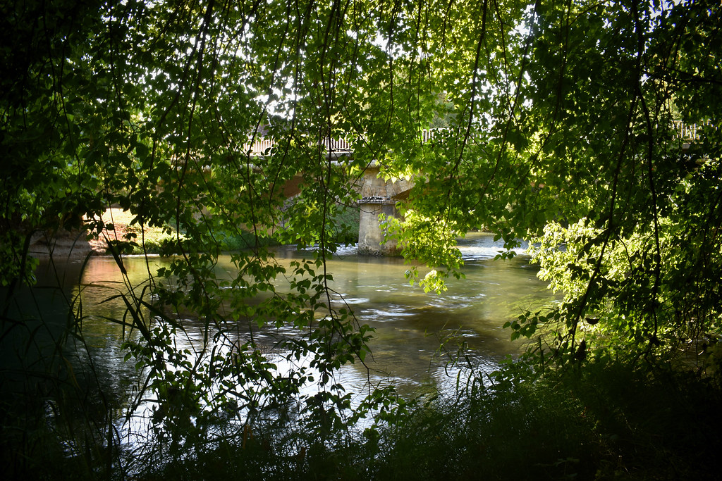 River Dawn The River Aube, Lesmont, Champagne Region, Fran… Callis