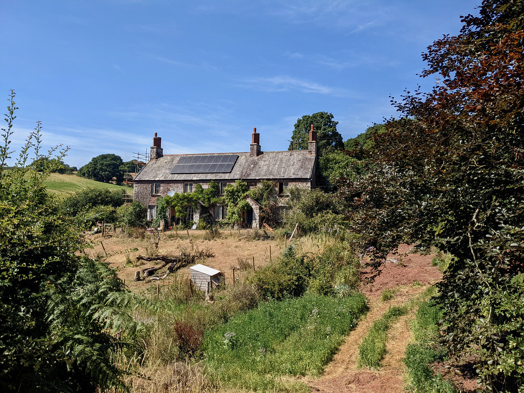 Crediton Coleford Colebrooke BlackDaffodil Flickr