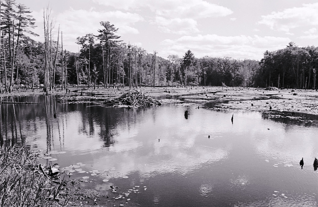 Conservation Land_Danville NH 9122 Southeast Land Trust … Flickr