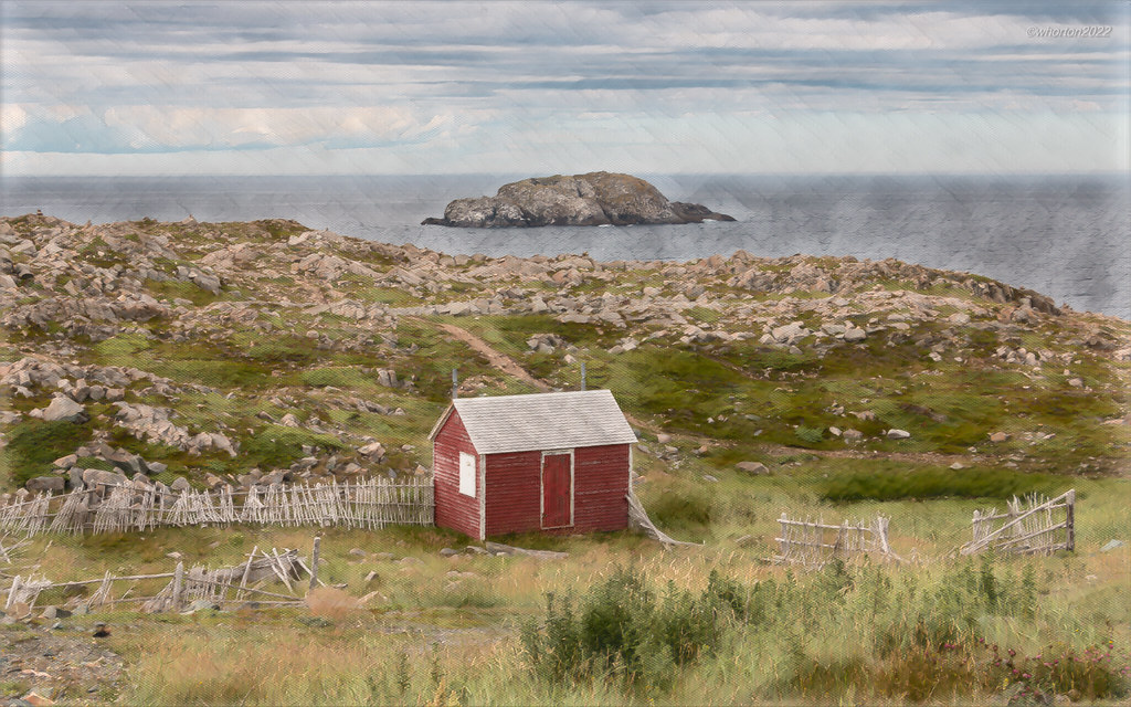 BonavistaNFLD2022 Scene 3 W Horton Flickr