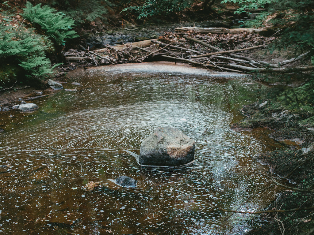 Zen Pond Taken in South Gardiner, Maine off of a snow mobi… Flickr