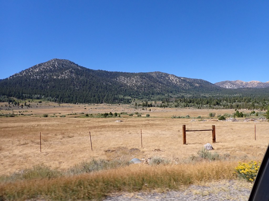 2022 827 Big Meadow Round Lake f (206) Lisa T Flickr