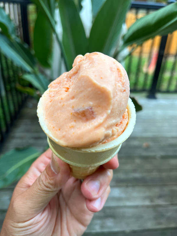 Roasted Plum, Ginger, and Honey Ice Cream Do You Know The Muffin Man?