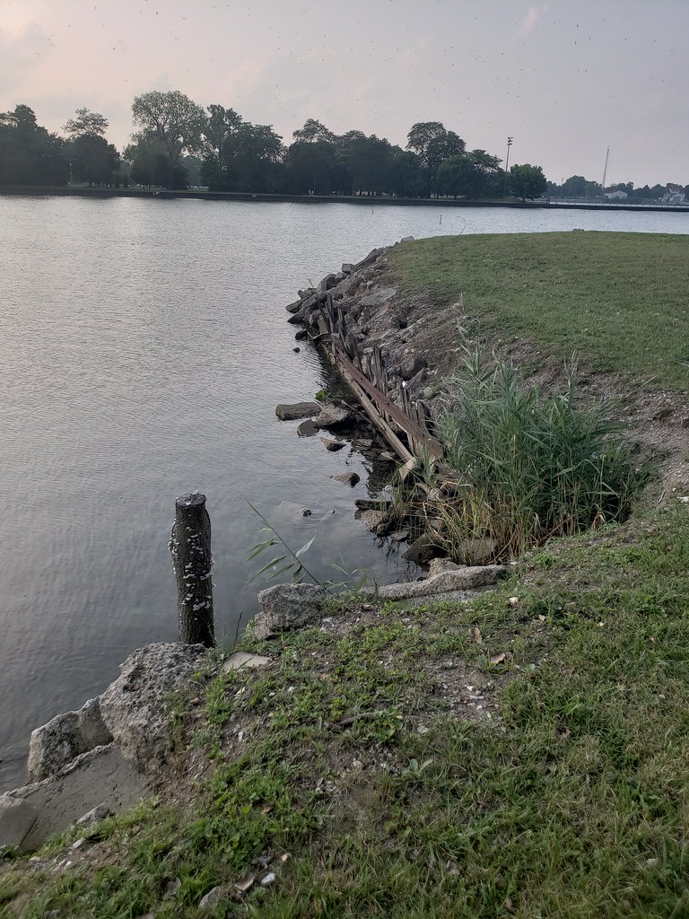 20180825_175755 Calumet Yacht Club Chicago, IL Cammi Friederichs