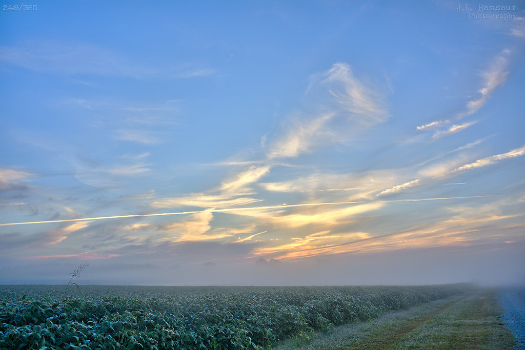 248/R365 Rural Kentucky Sunrise Oak Grove, Kentucky Flickr