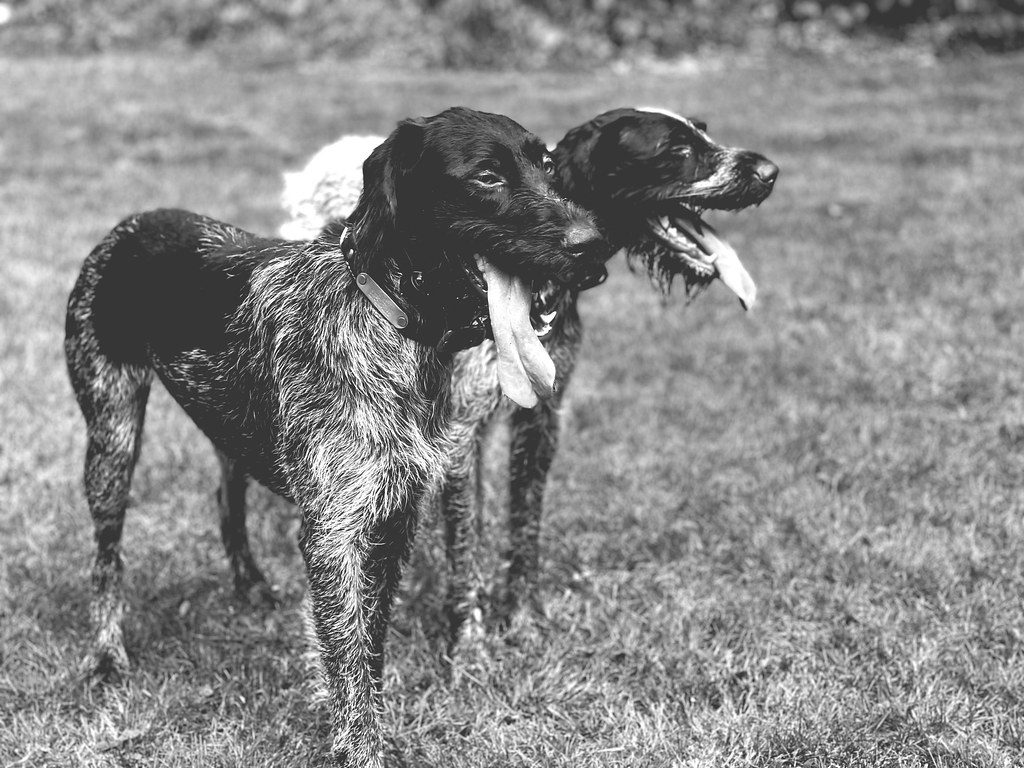 Having fun Mountain_Air Flickr