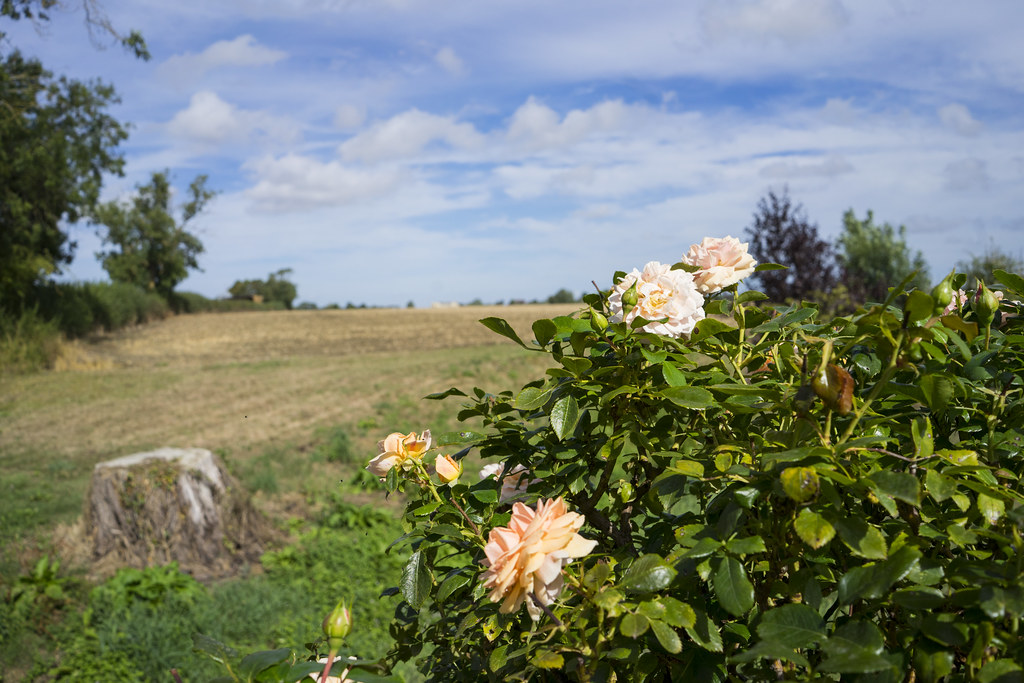 Blackwell Grange Warwickshire Gerard Higgins Flickr