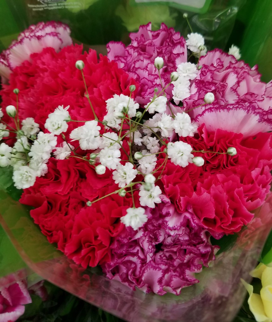Carnations And Baby's Breath Bouquet Flowermanjoe Flickr