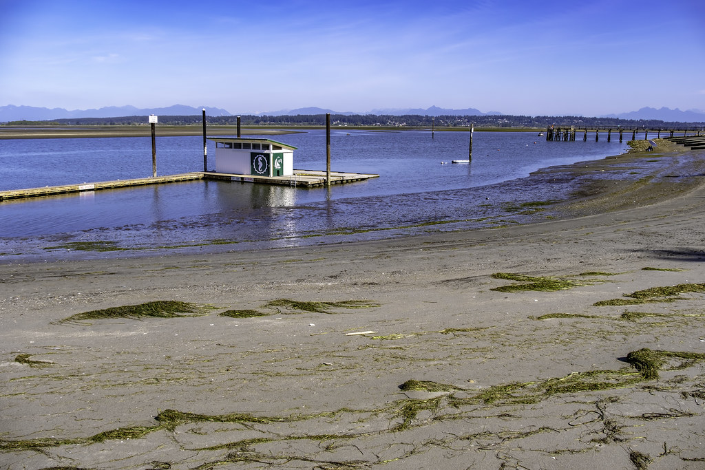 The sea has gone, summers over Crescent Beach looking very… Flickr