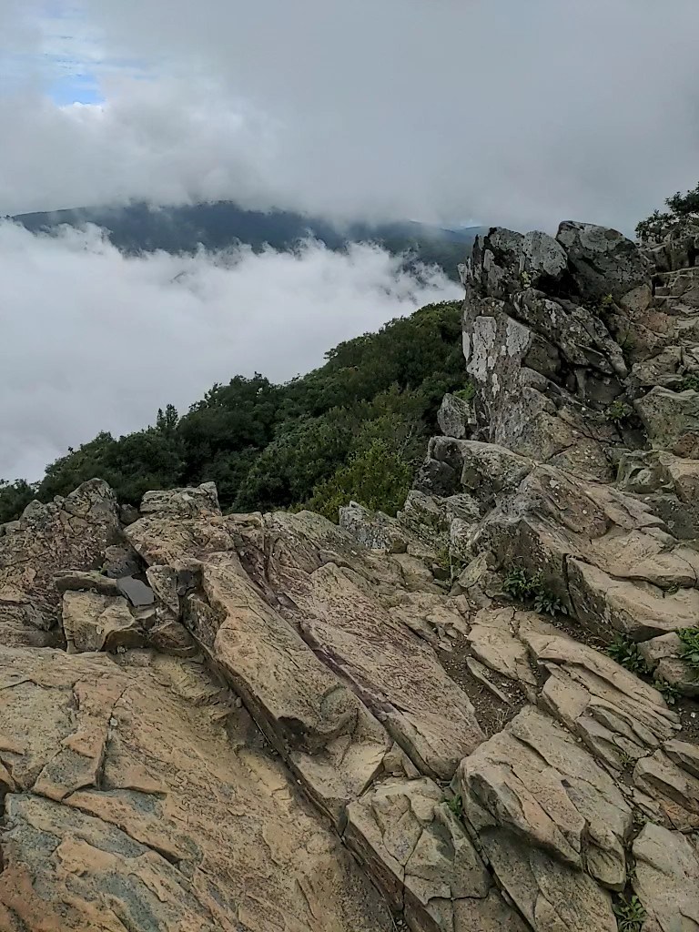 Shenandoah or Skyline Drive. Hawksbill Gap Trail. barmos38 Flickr