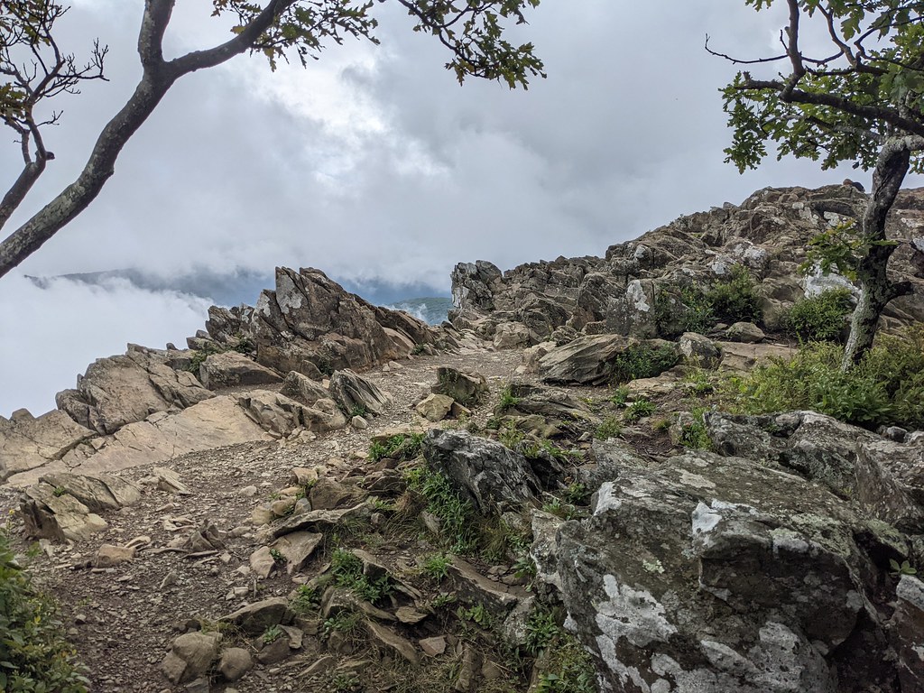 Shenandoah or Skyline Drive. Hawksbill Gap Trail. barmos38 Flickr