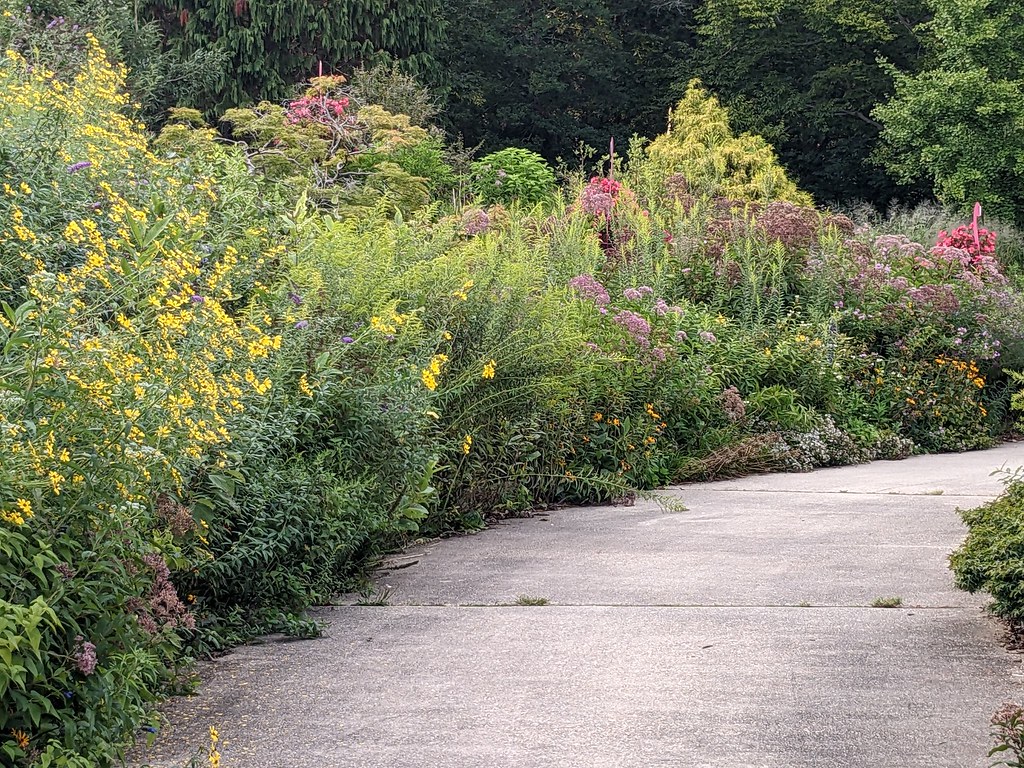 Brookside gardens august 2022 Flickr