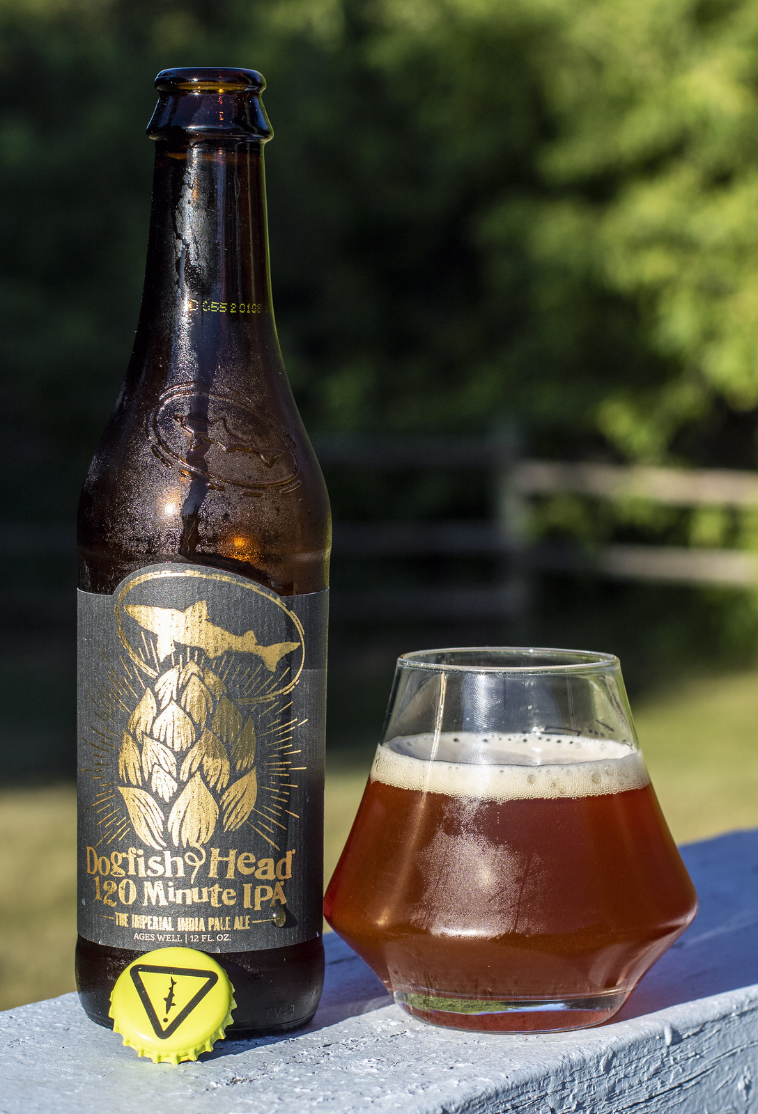 Review Dogfish Head 120 Minute IPA BeerCrank.ca