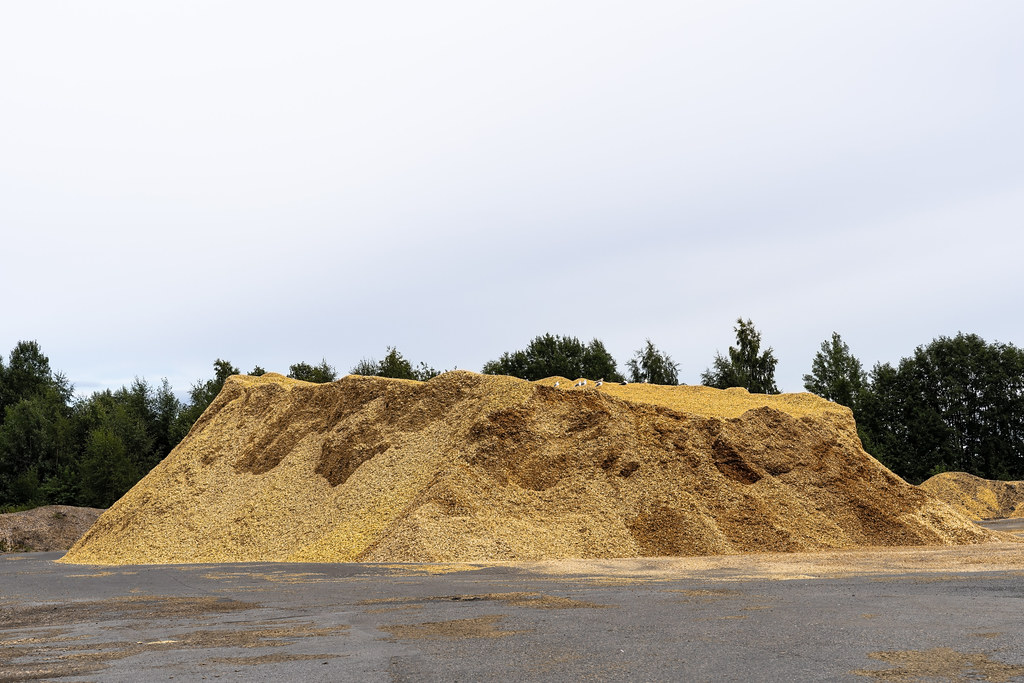 a pile of sawdust a pile of sawdust Øyvind Holmstad Flickr