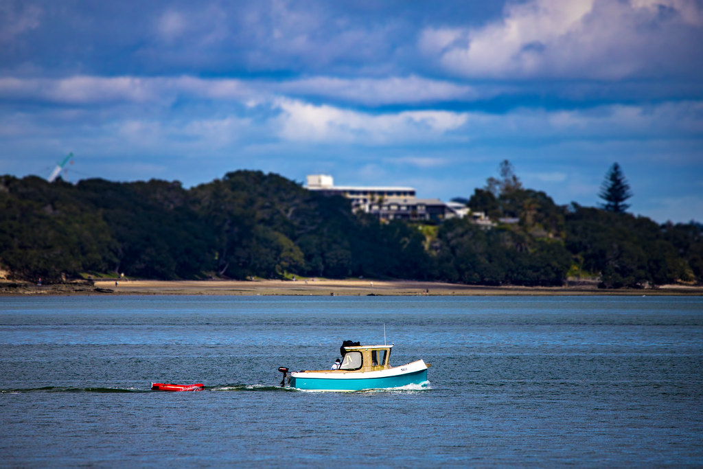 Kauri Point Centennial Park and Chelsea Factory, September 2022 Flickr