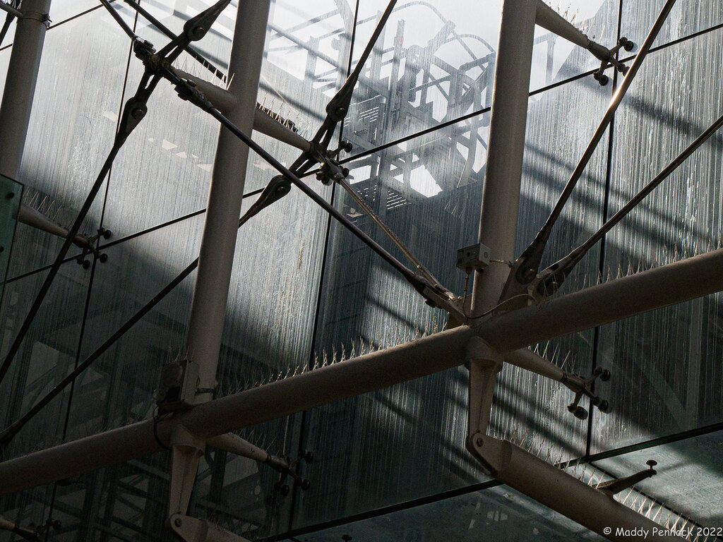 10_Maddy Pennock_ Paddington Station Madeleine Pennock Flickr
