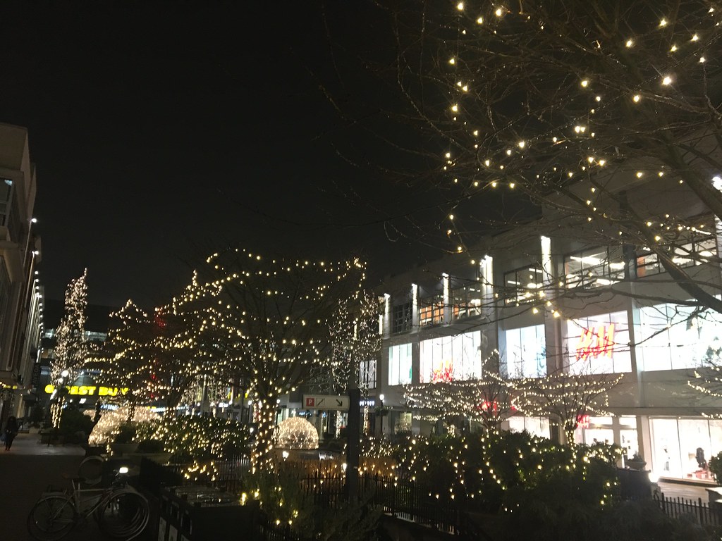 2021 12 11 Outside Christmas Lights 10 Blake Handley Flickr