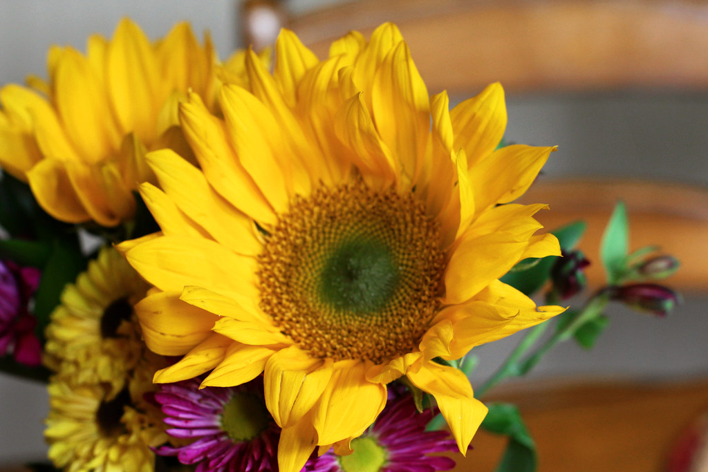 Flowers for Grandparent's Day Brock Flickr