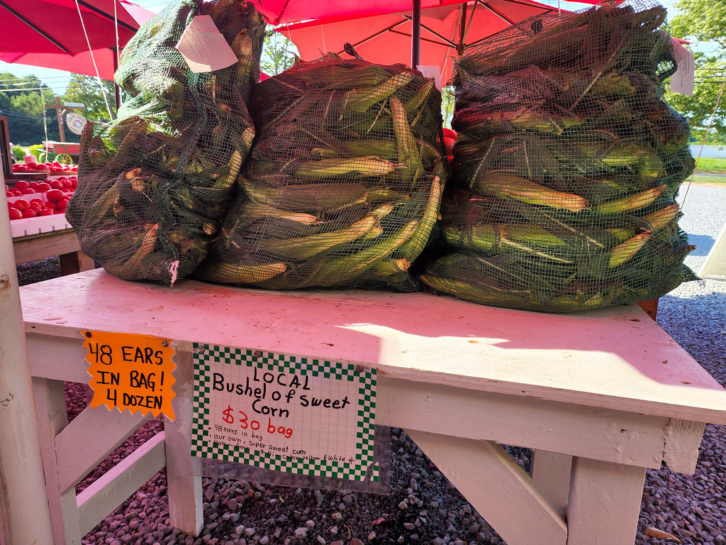 Bushels Of Corn At Sound Shore Market in Riverhead. Joe Shlabotnik Flickr