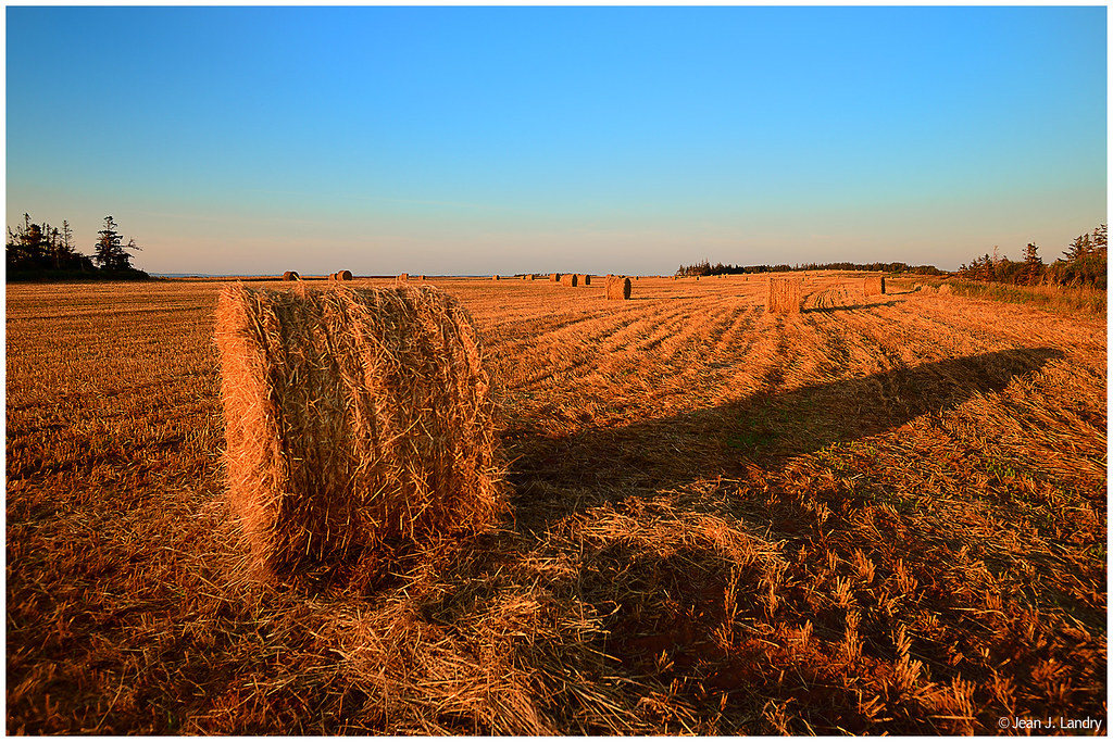 Point Prim, PEI Jean J. Landry Flickr