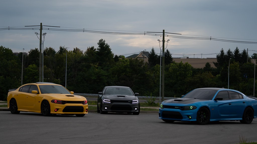 CAR Chris Bryant Flickr