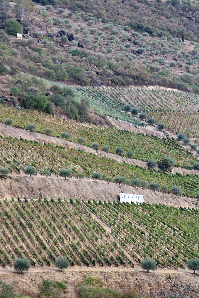 Quinta da Vila Velha Soutelo do Douro São João da Pesq… Flickr