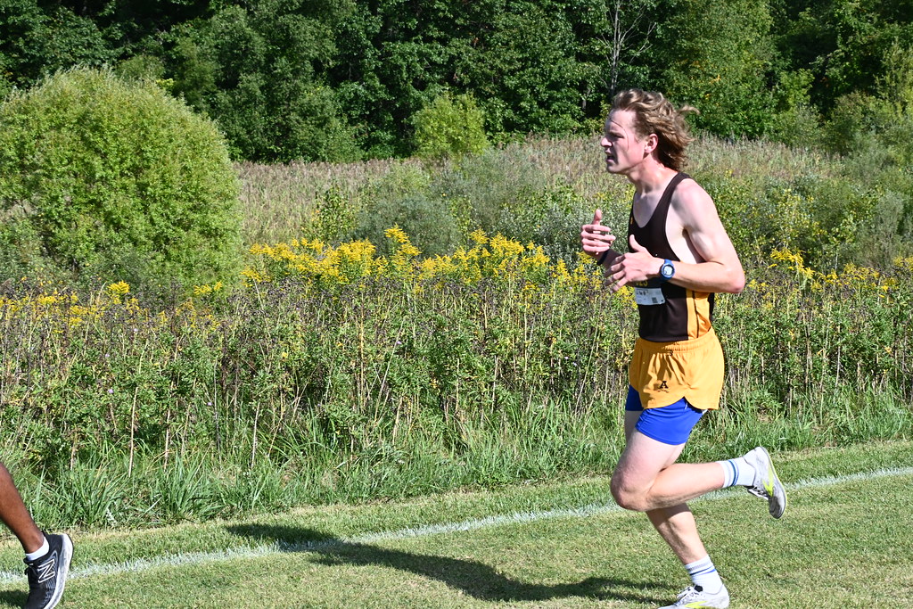 DSC_7107 Stanley Ford Flickr