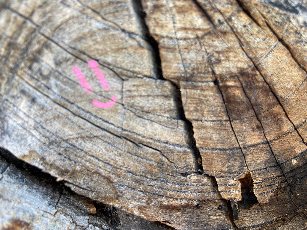 Untitled Martel Wiley Jr Flickr