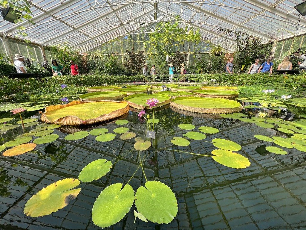 A visit to Kew Gardens Rosie Gaston Flickr