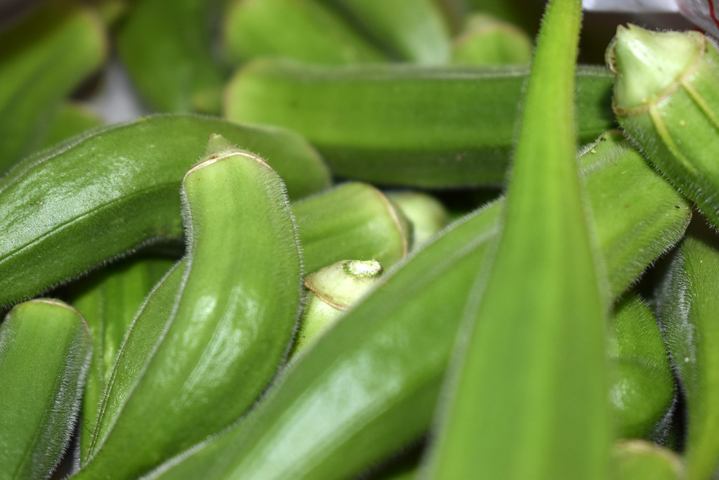 Okra From The Garden. Fresh picked okra from my wife's gar… Flickr