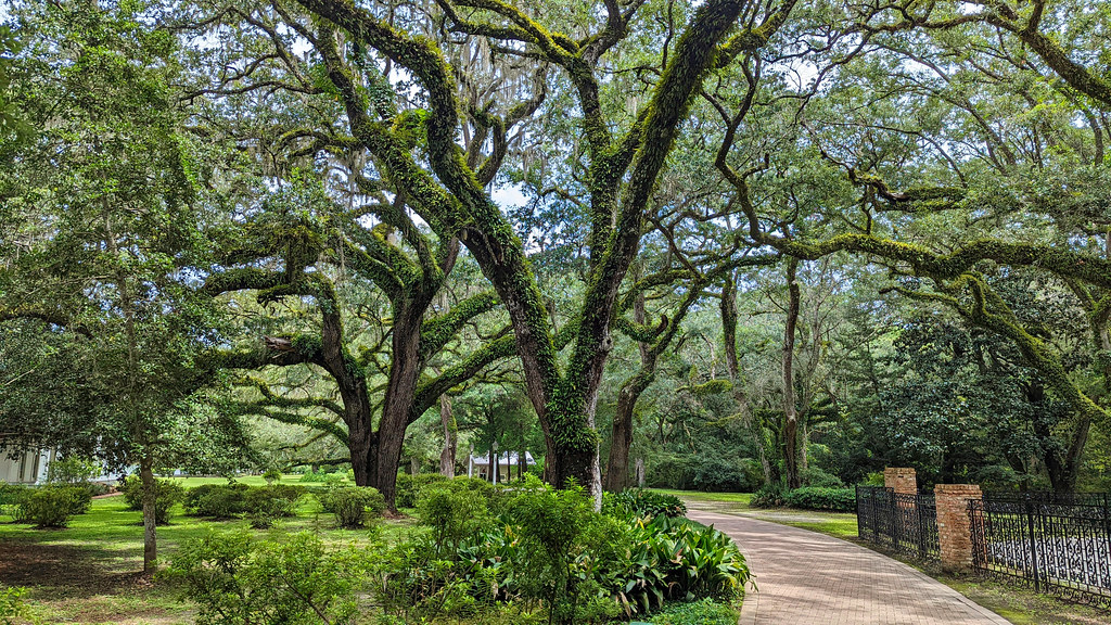 Eden Gardens State Park, Florida a photo on Flickriver