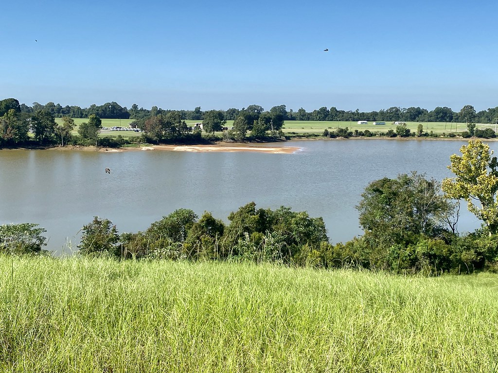 W. Irene Rd. impoundments Habitat shot for eBird list Flickr