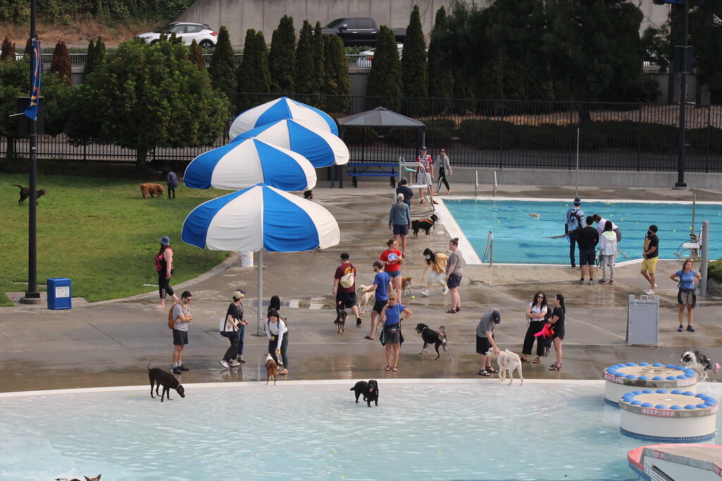 IMG_2477 City of Renton Parks and Recreation Flickr