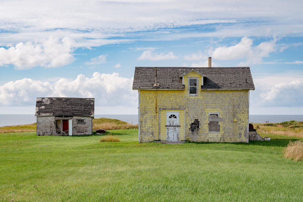 PointeauxLoups26082022 Îles de la Madeleine Pointeaux… Flickr