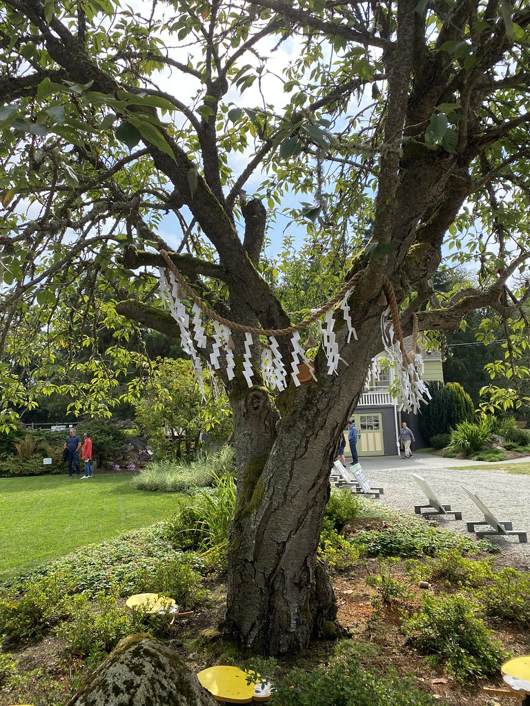 Director's Office Vashon tour Mukai Farm & Garden and Vash… Flickr