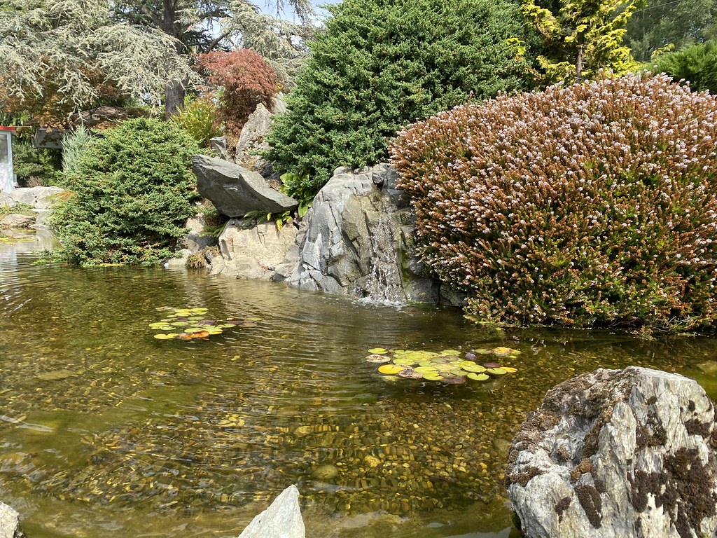 Director's Office Vashon tour Mukai Farm & Garden and Vash… Flickr