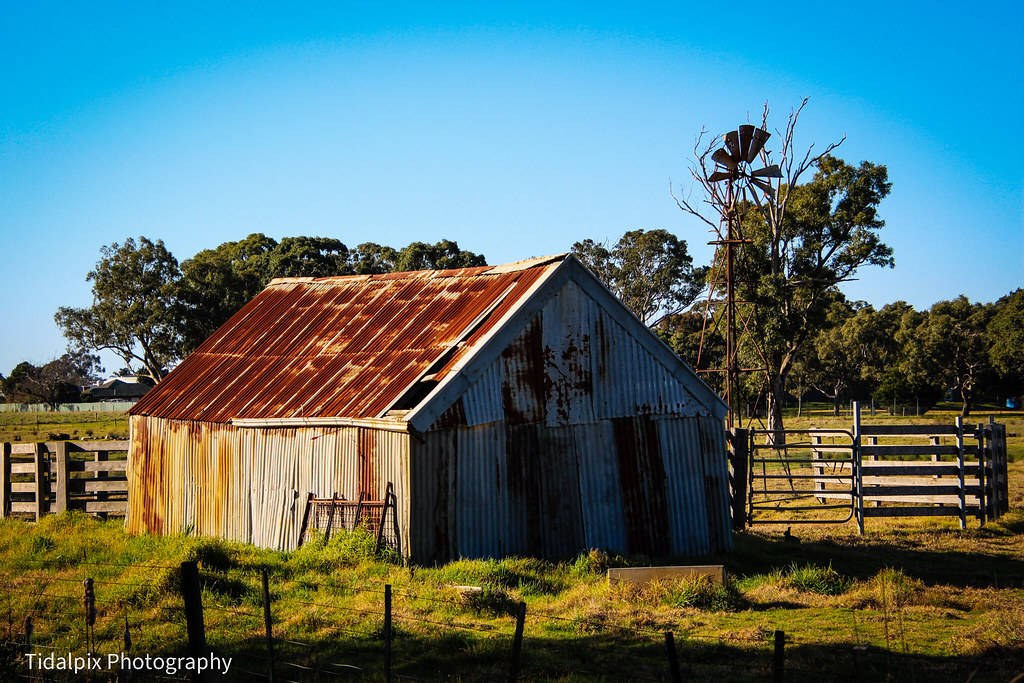 Spot The Rabbit Melbourne, Australia 30 July 2022 Mark Tidalpix Photography Flickr