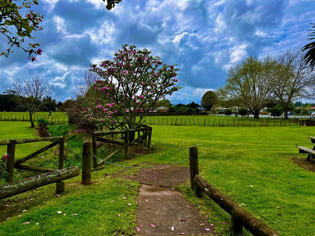 IMG_3395 around Kaikohe Sept 2022 Josie Gardiner Flickr