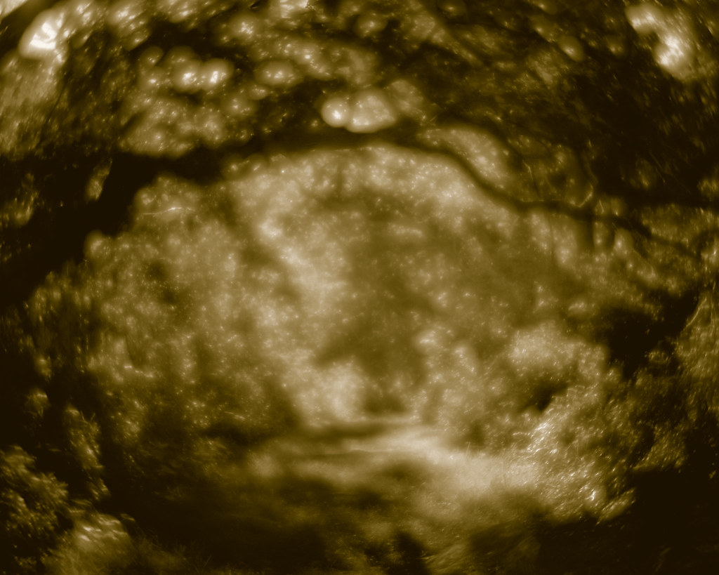 Early morning sparkles at Peaked Hill Chilmark, Massachuse… Flickr