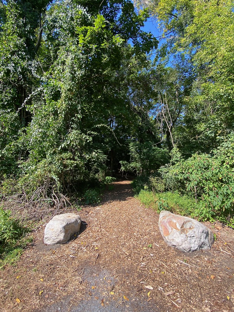 Path Part of the Lower Mount Bethel Township Trail System,… Flickr