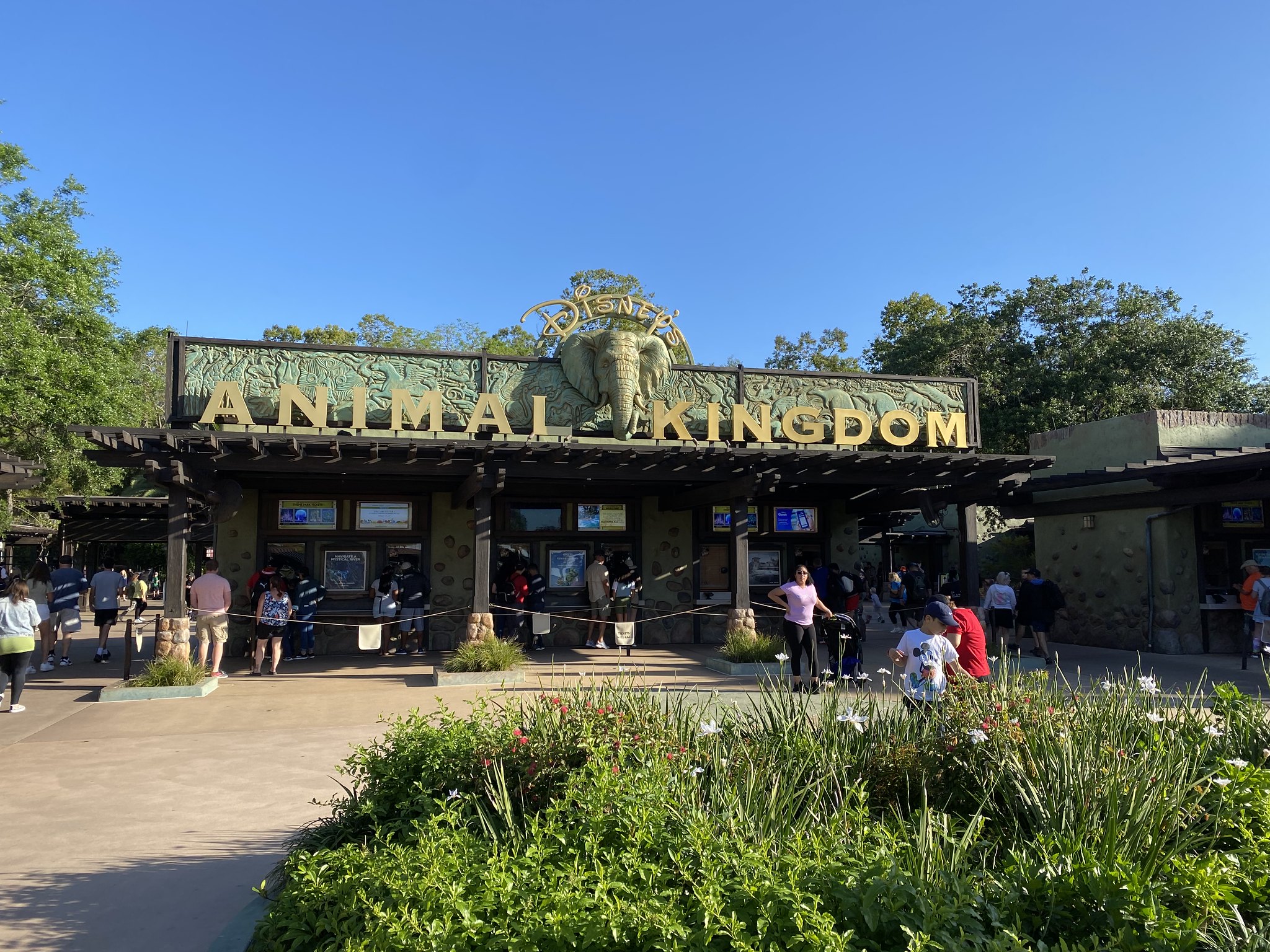 Florida 03/22 Animal Kingdom + Epcot Heartline Coaster