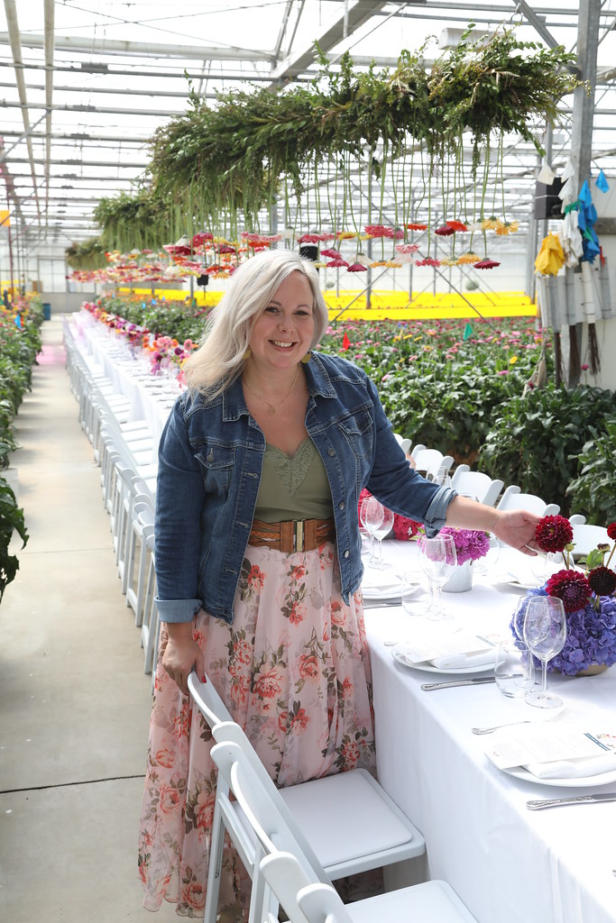 686A9136 American Grown Flowers Flickr