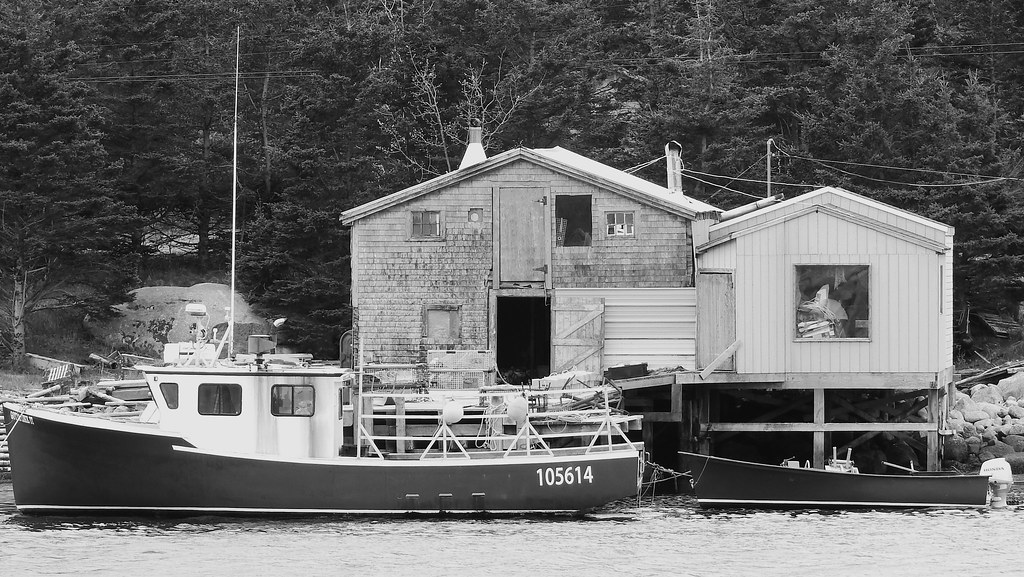 Yankee Cove (Near Peggys Cove) NS Lloyd Loisel Flickr