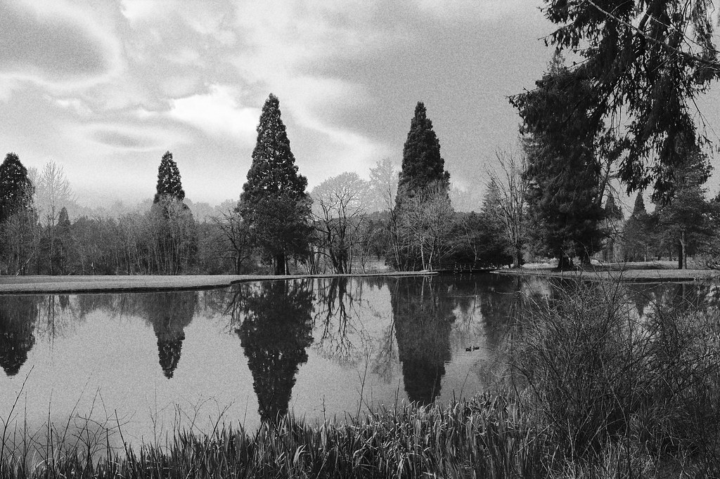 Crystal Springs 1 Gene Schwartz Flickr