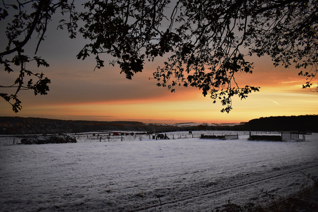 Winter's Dawn Towards Haywood Oaks Woods from Blidworth Wo… Flickr