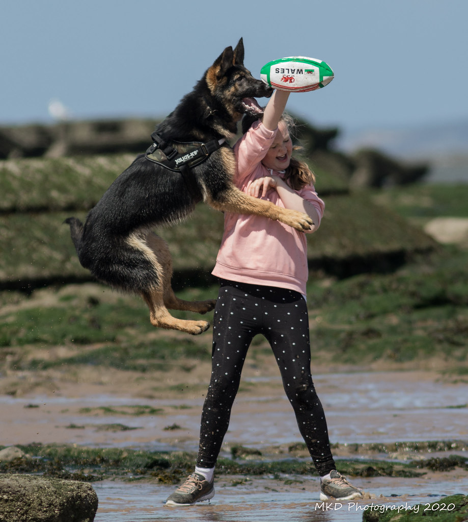 013A78841 Matthew Davies Flickr