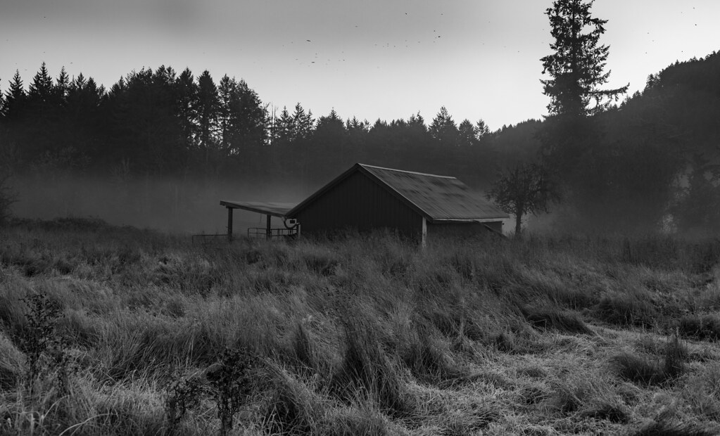 Back at the Ranch Randal Rodgers Flickr