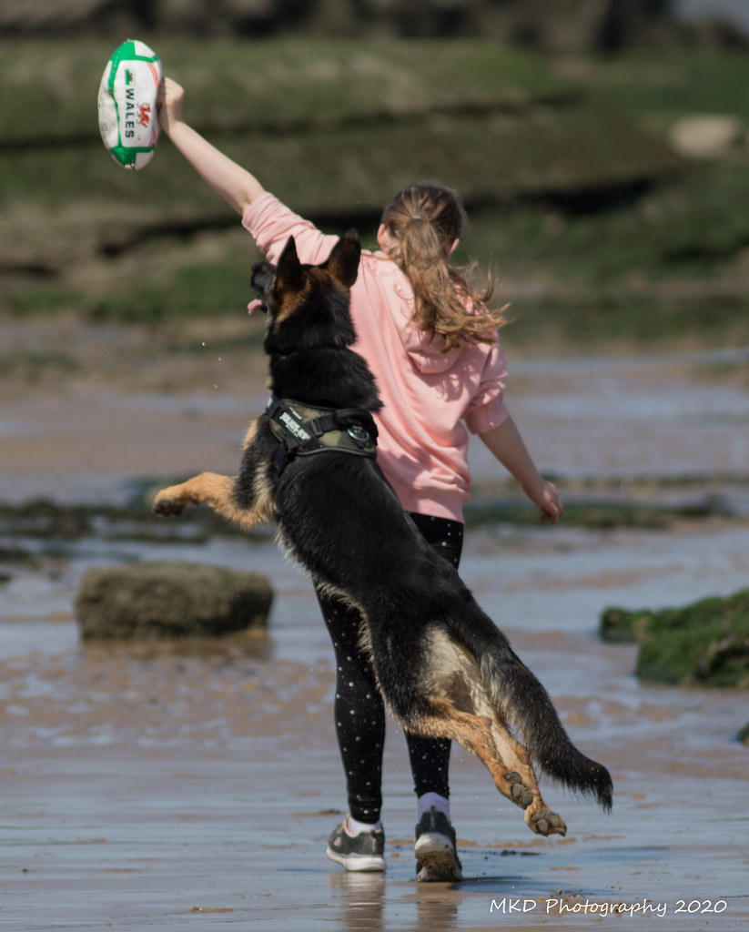 013A78211 Matthew Davies Flickr