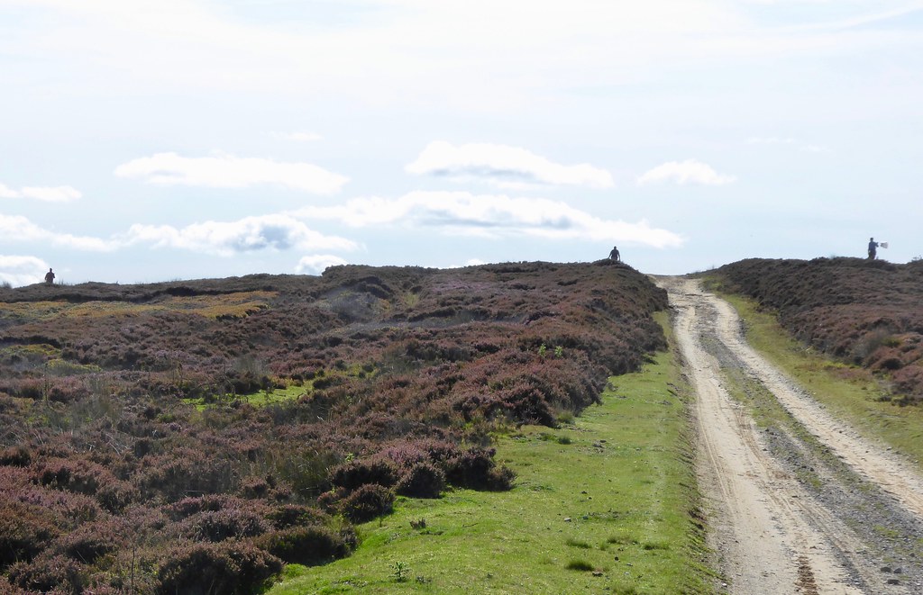 Farndale Grouse Beaters Christopher West Flickr